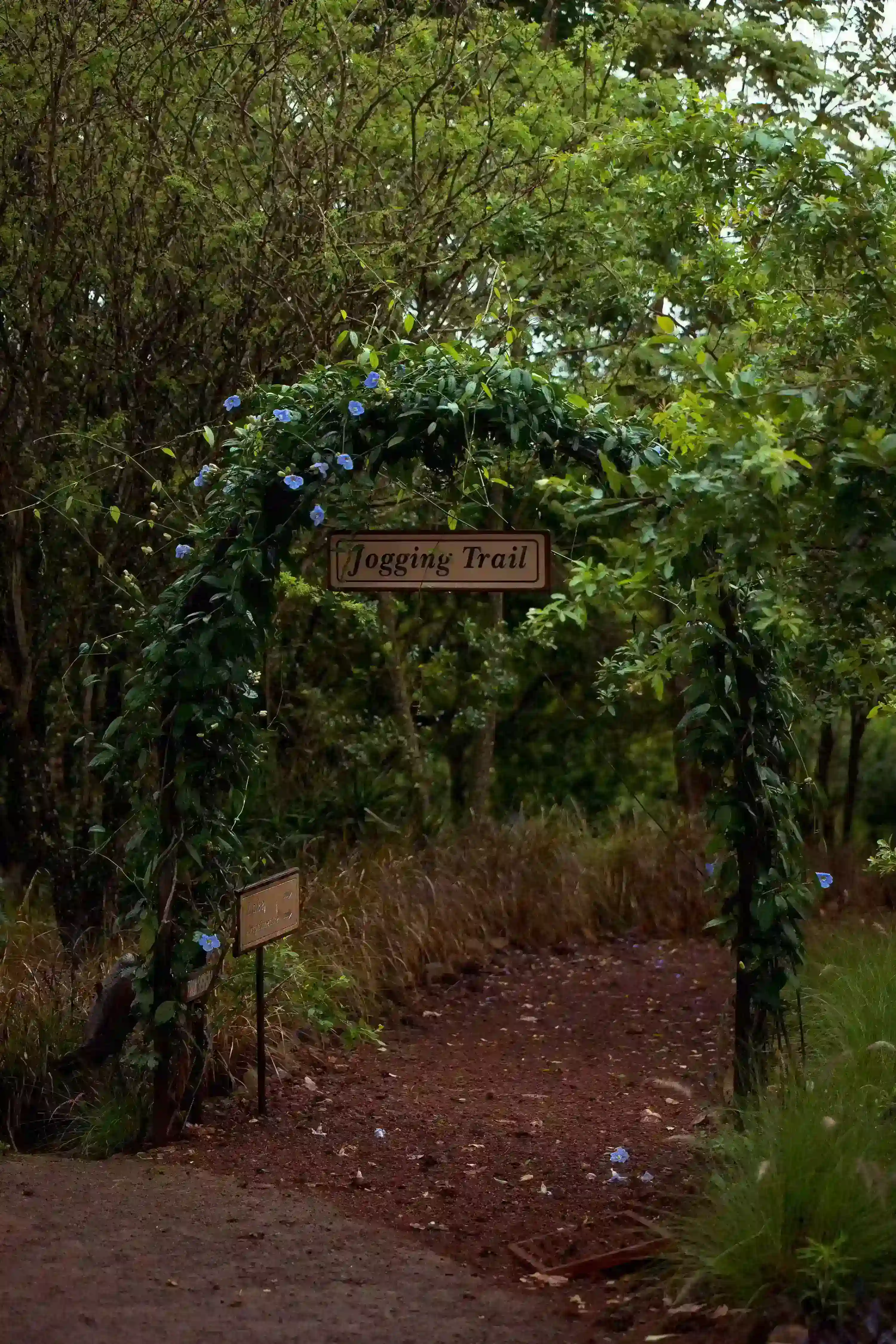 Jogging trail at the retreat at ngorongoro Hotel in Karatu