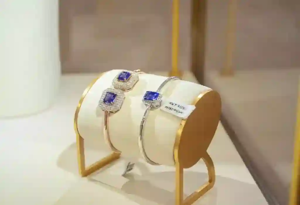 he Tanzanite experience at Kibaoni