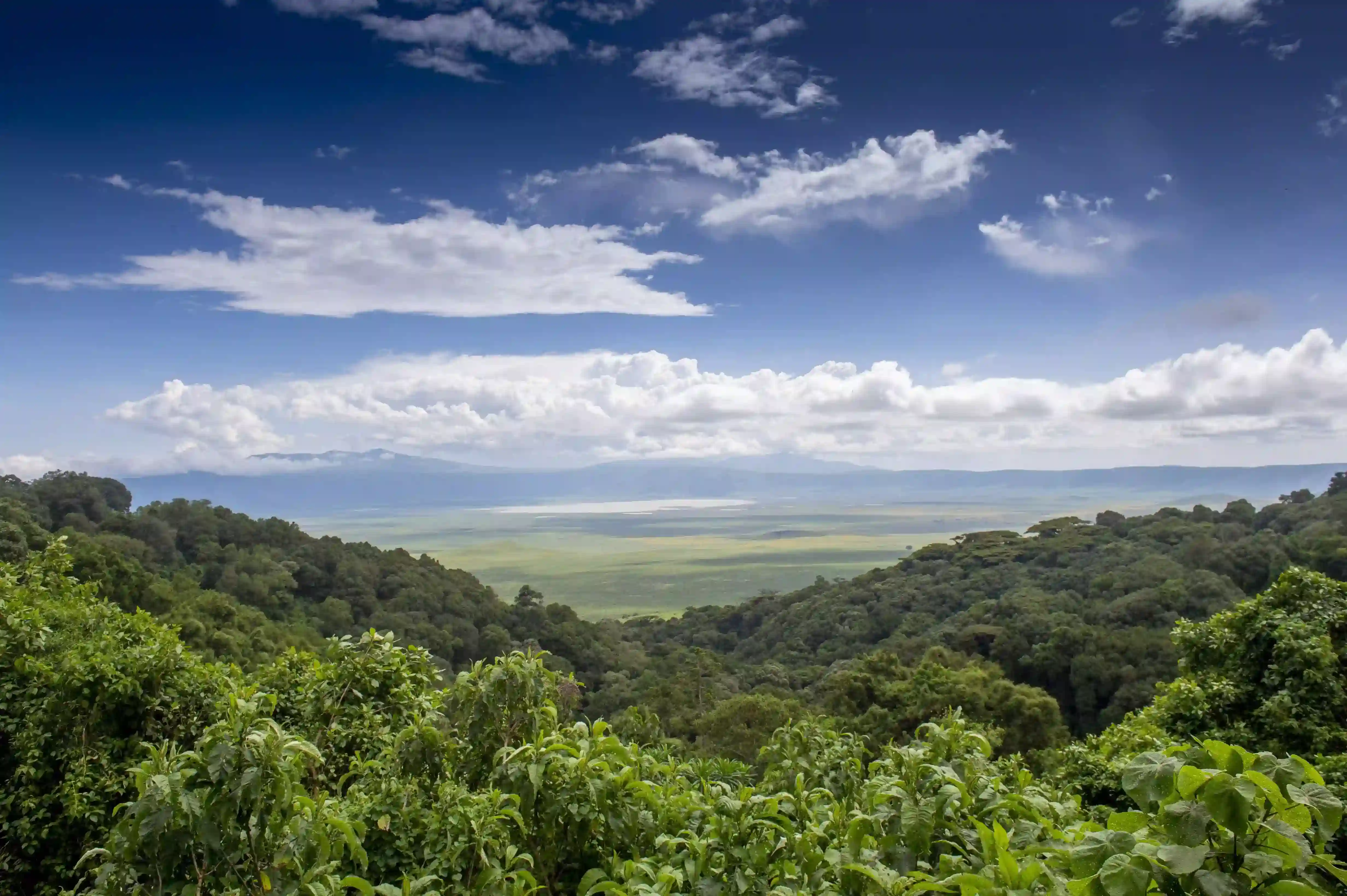Ngorongoro crater