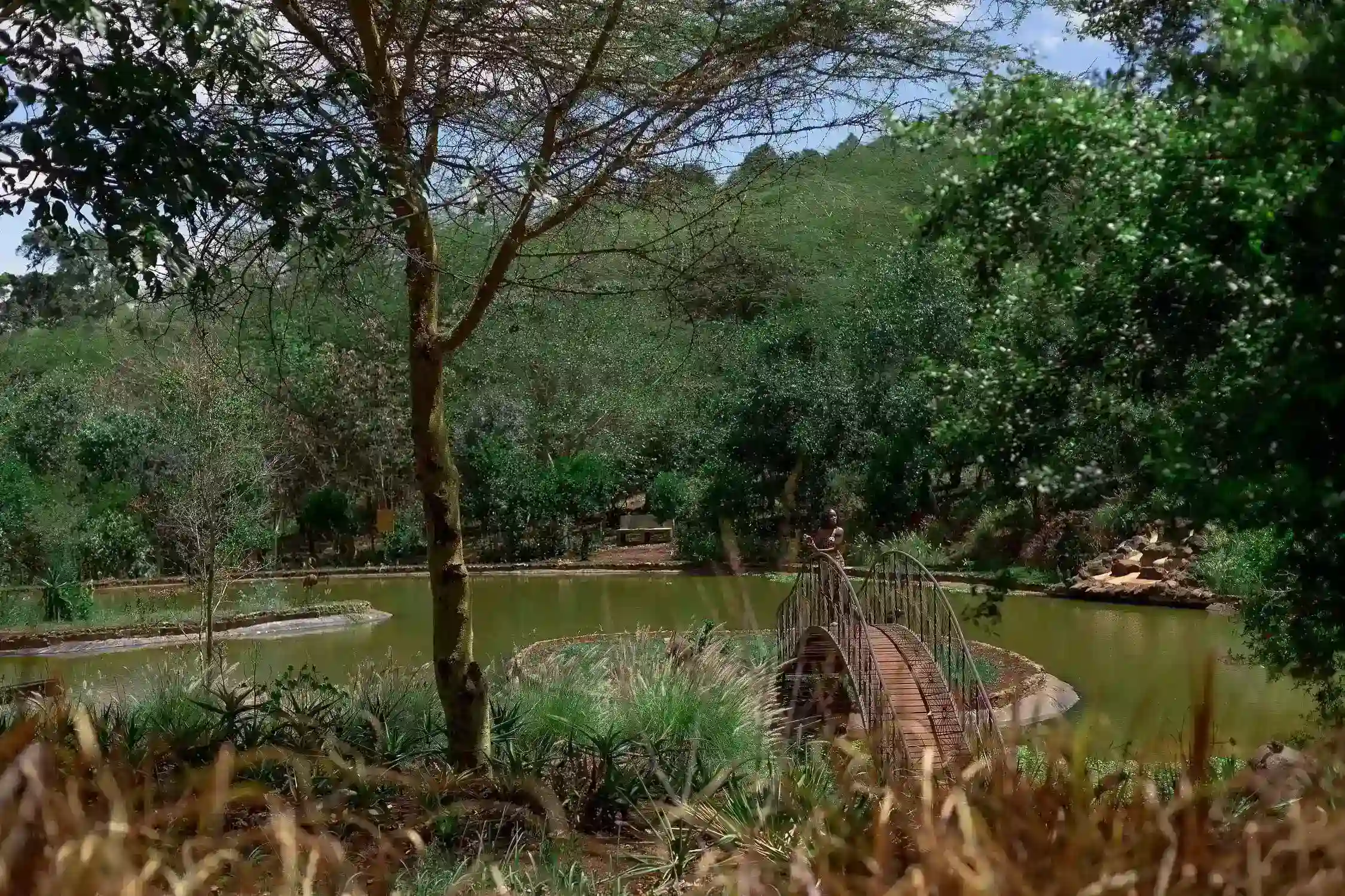 Lake image at the retreat at ngorongoro Hotel in Karatu